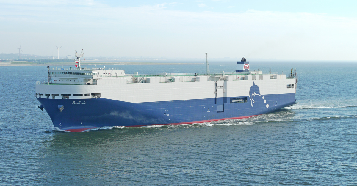 rorotoyofuji