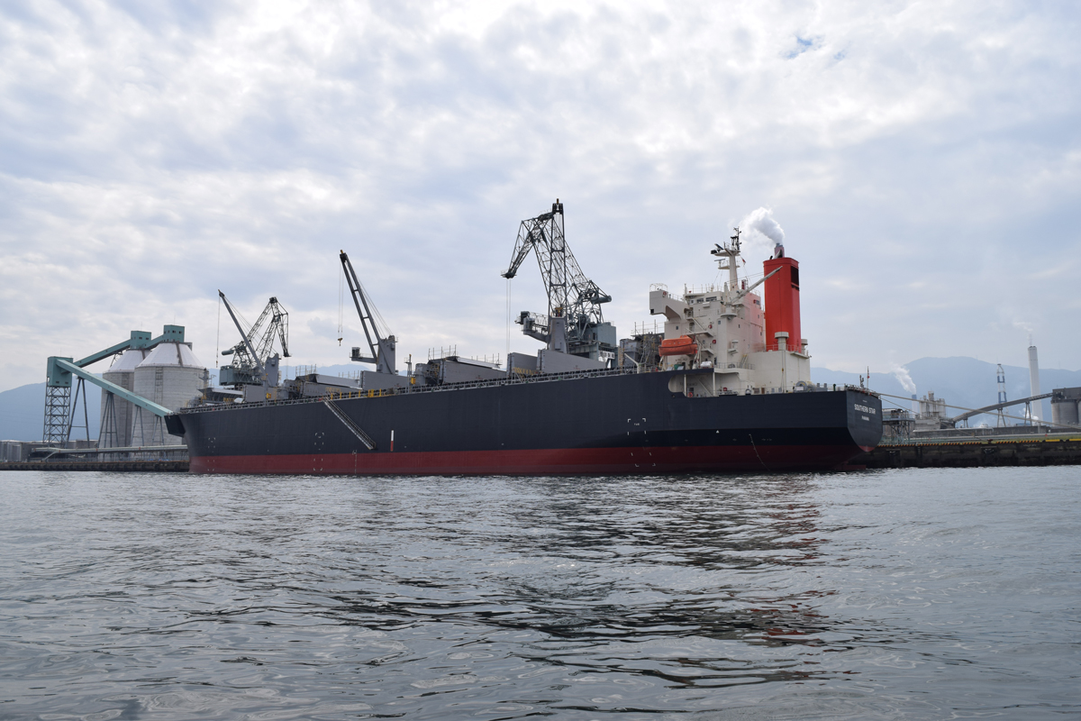 shippinmg_manual_conventional_vessel_2_