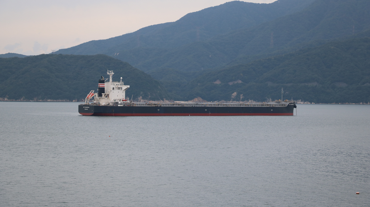 shippinmg_manual_ore_bulker_